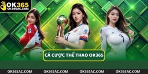 Hướng dẫn cá độ bóng đá online chuẩn xác